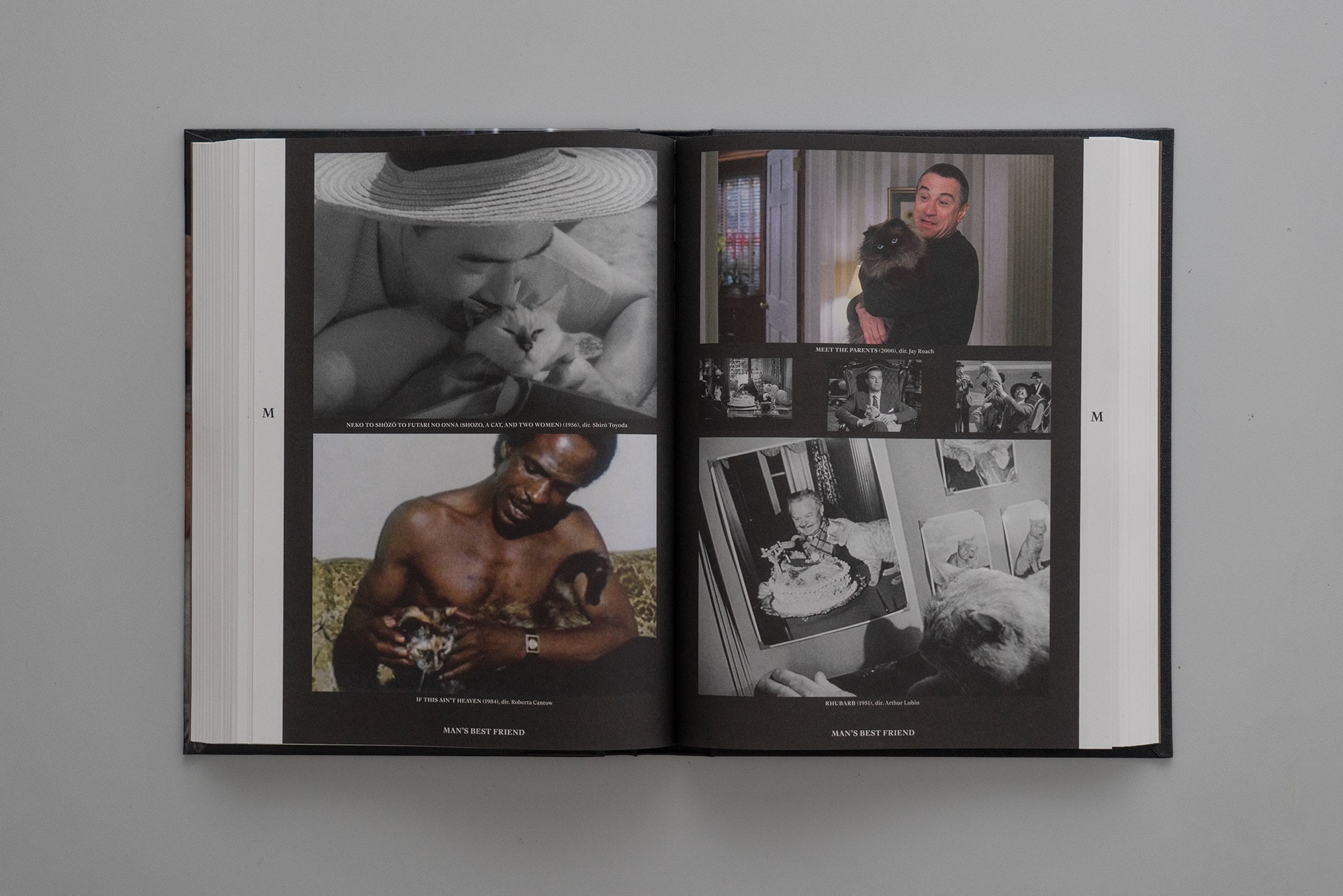 A24 ENCYCLOPEDIA OF MOVIE CATS