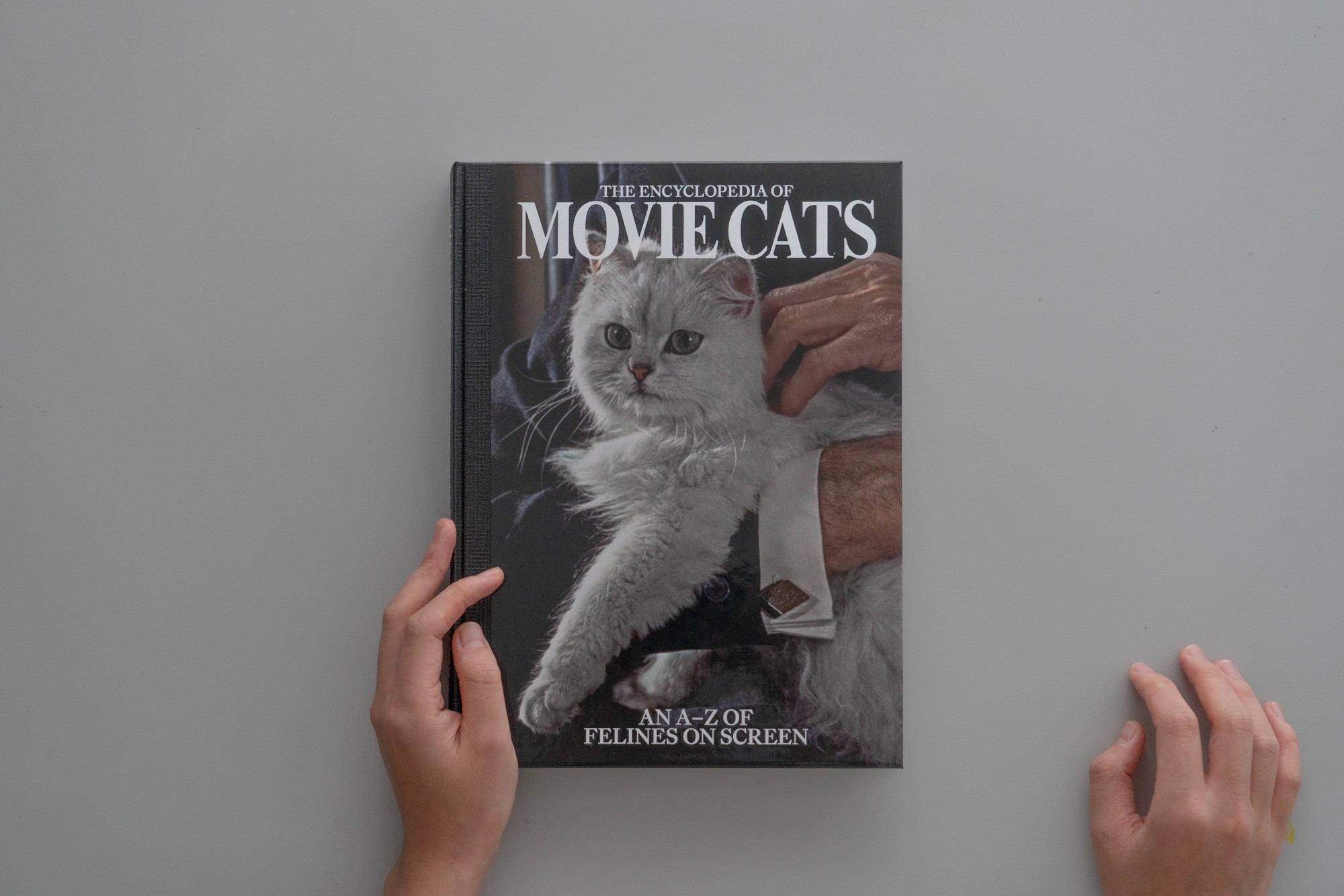 A24 ENCYCLOPEDIA OF MOVIE CATS