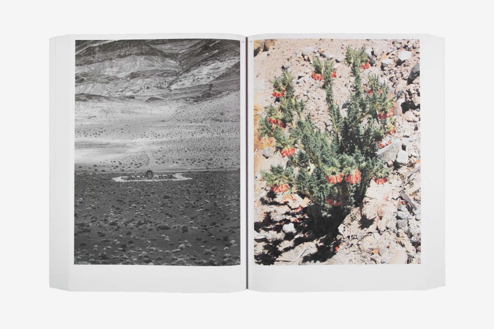 ALEIX PLADEMUNT: MATTER