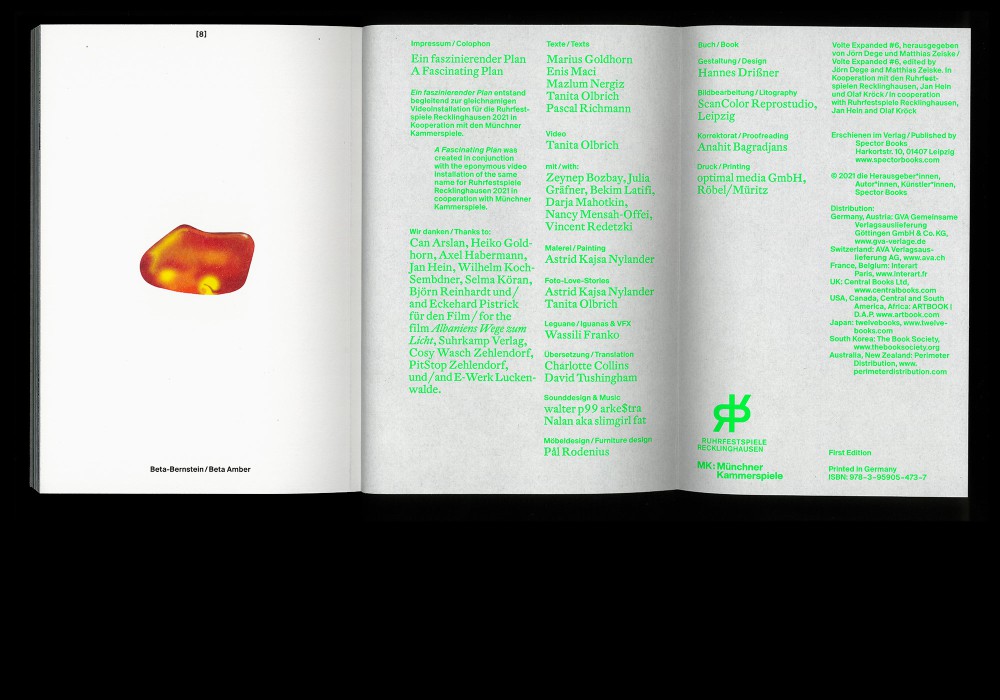 EIN FASZINIERENDER PLAN