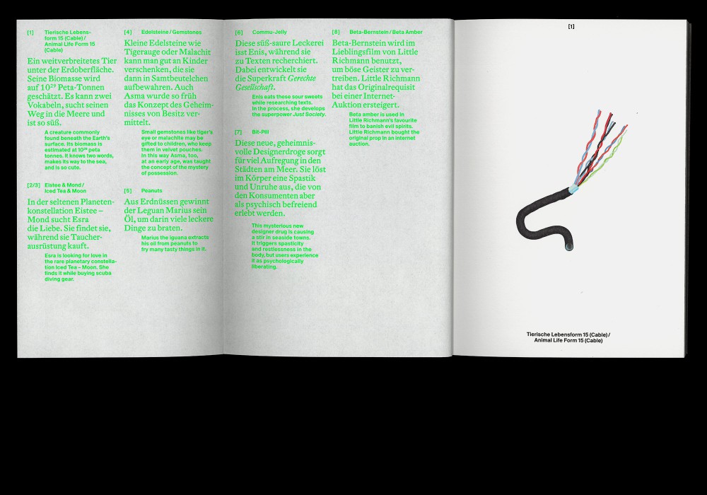 EIN FASZINIERENDER PLAN