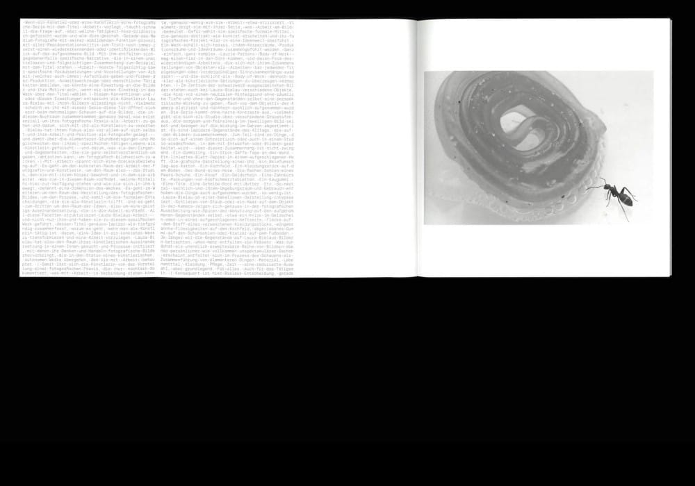 LAURA BIELAU: ARBEIT