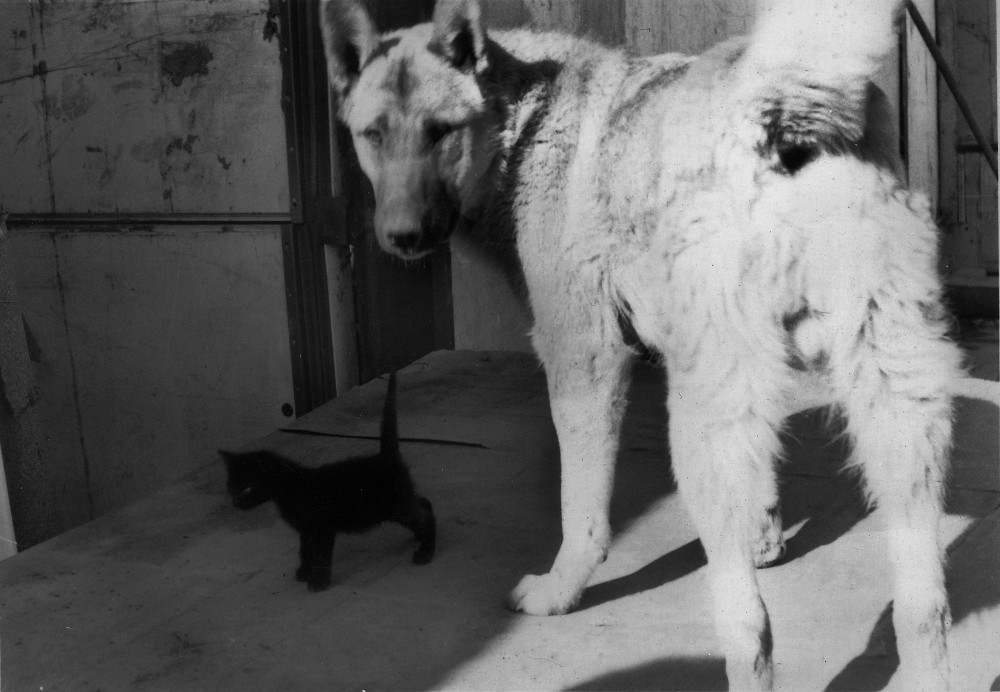 PERM 1988. FREUNDSCHAFT IN AKTION