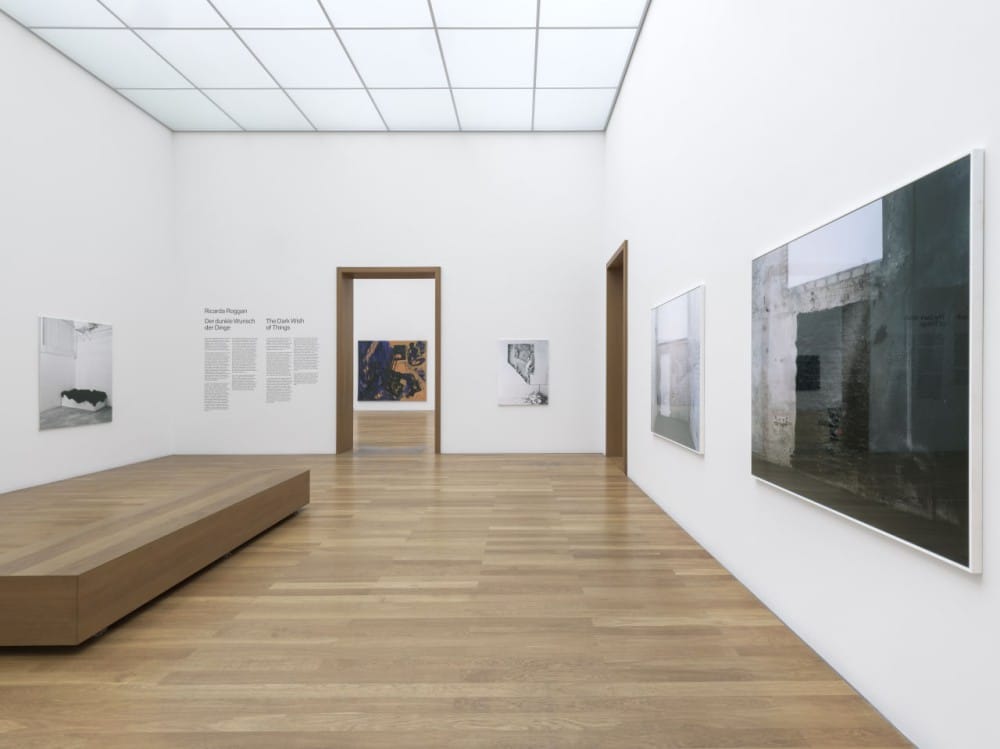 RICARDA ROGGAN: THE DARK WISH OF THINGS