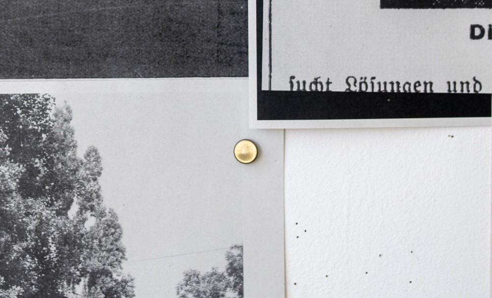 UTE RICHTER: GERTRUD ODER DIE DIFFERENZ